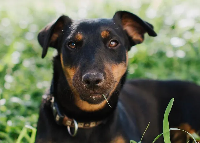 Apartamento Relax A 4 Zaboric